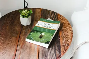 Book cover mockup