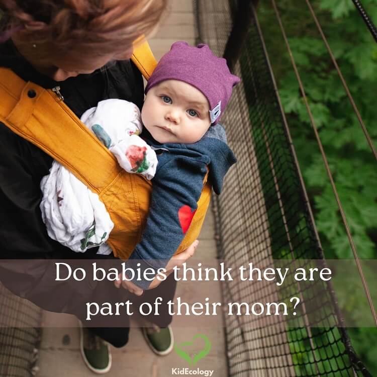 Do babies think they are part of their mom: baby snuggled with their mother Do babies think they are part of their mom: baby snuggled with their mother