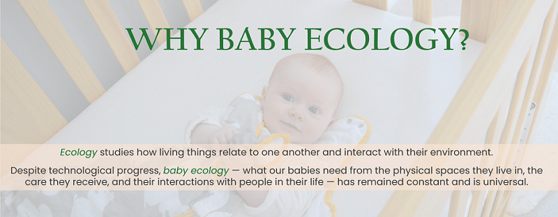 why_baby_ecology why_baby_ecology
