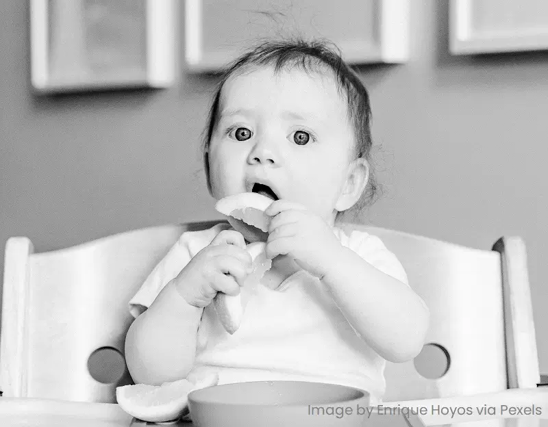 Baby eating orange slices Baby eating orange slices