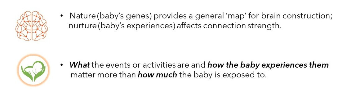 Pictograms of brain connections and baby on light background with text explaining that nature (genes) drives brain construction but nurture (experiences) determines brain connection strength Pictograms of brain connections and baby on light background with text explaining that nature (genes) drives brain construction but nurture (experiences) determines brain connection strength