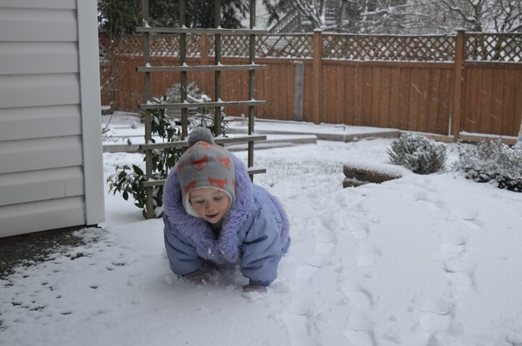 Can babies get bored? Baby playing in the snow. Can babies get bored? Baby playing in the snow.