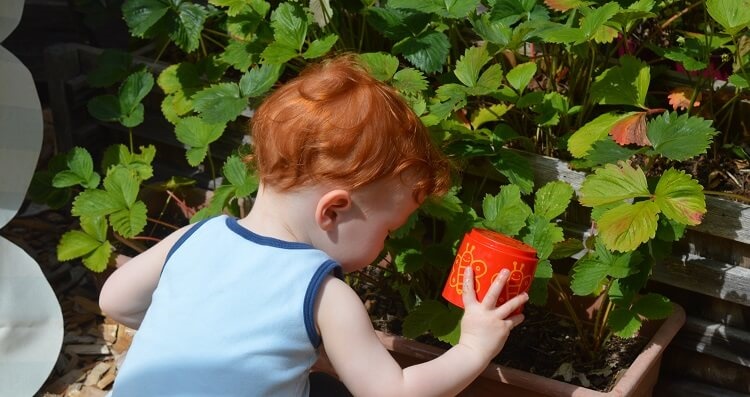 Independent play for babies: toddler playing in the garden Independent play for babies: toddler playing in the garden
