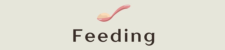 feeding feeding