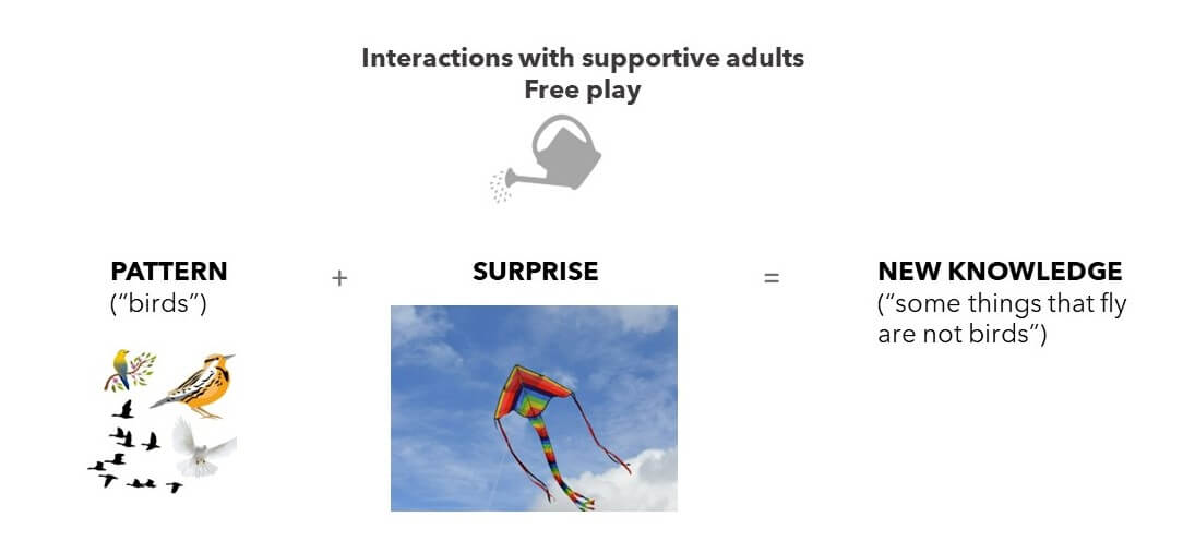 Diagram showing the process of combining patterns and surprising events into learning, using birds and a kite as examples, on light background Diagram showing the process of combining patterns and surprising events into learning, using birds and a kite as examples, on light background