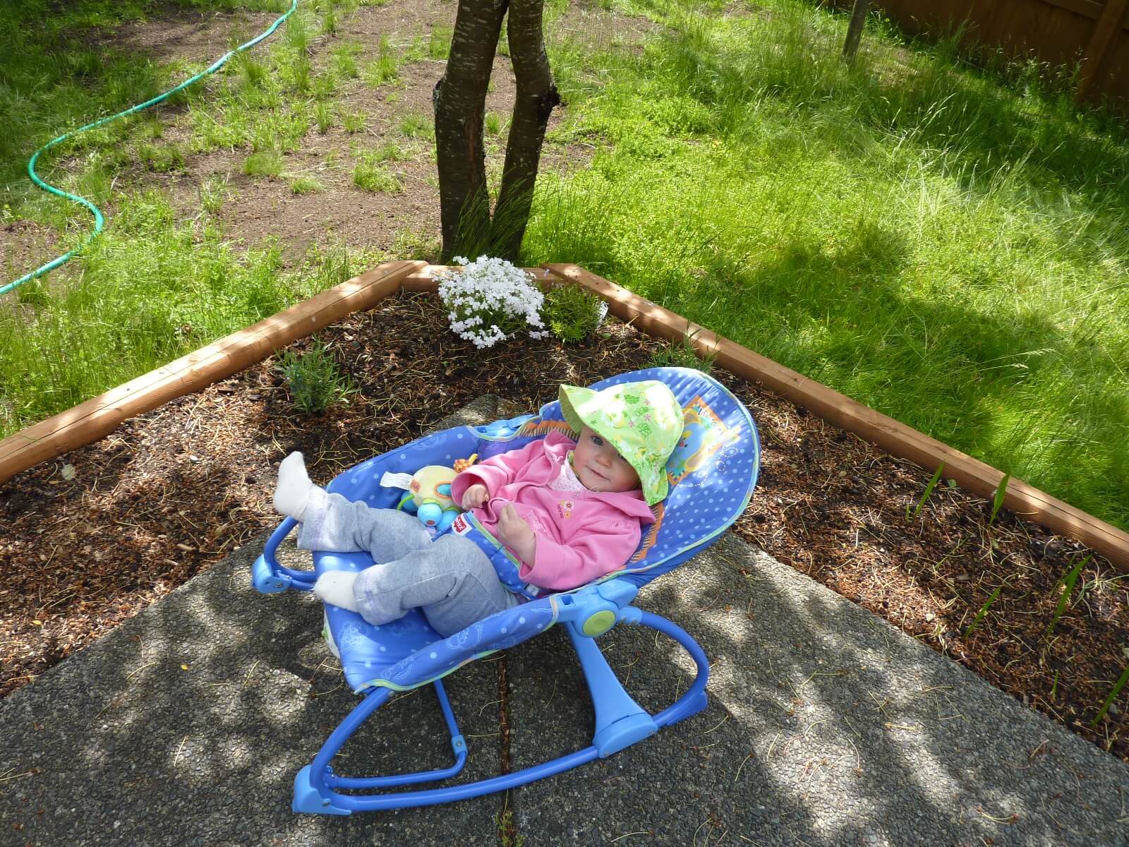 Smiling baby in baby seat on a patio in  back yard Smiling baby in baby seat on a patio in  back yard